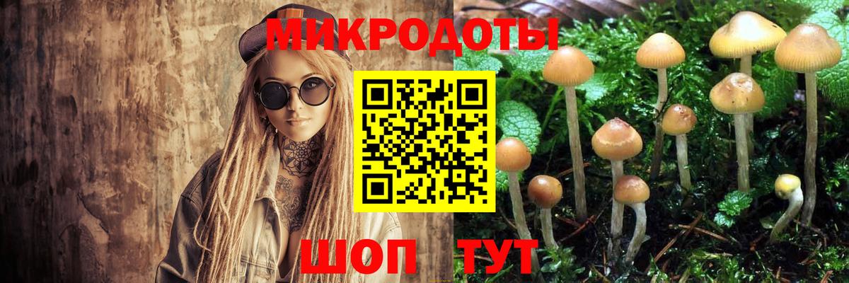 Псилоцибиновые грибы Psilocybine cubensis  Псилоцибиновые грибы мицелий  Советская Гавань  Вход с VPN 